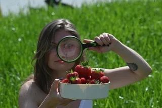 Агроном Косов рассказал о влиянии осадков на черешню и клубнику в Ростовской области