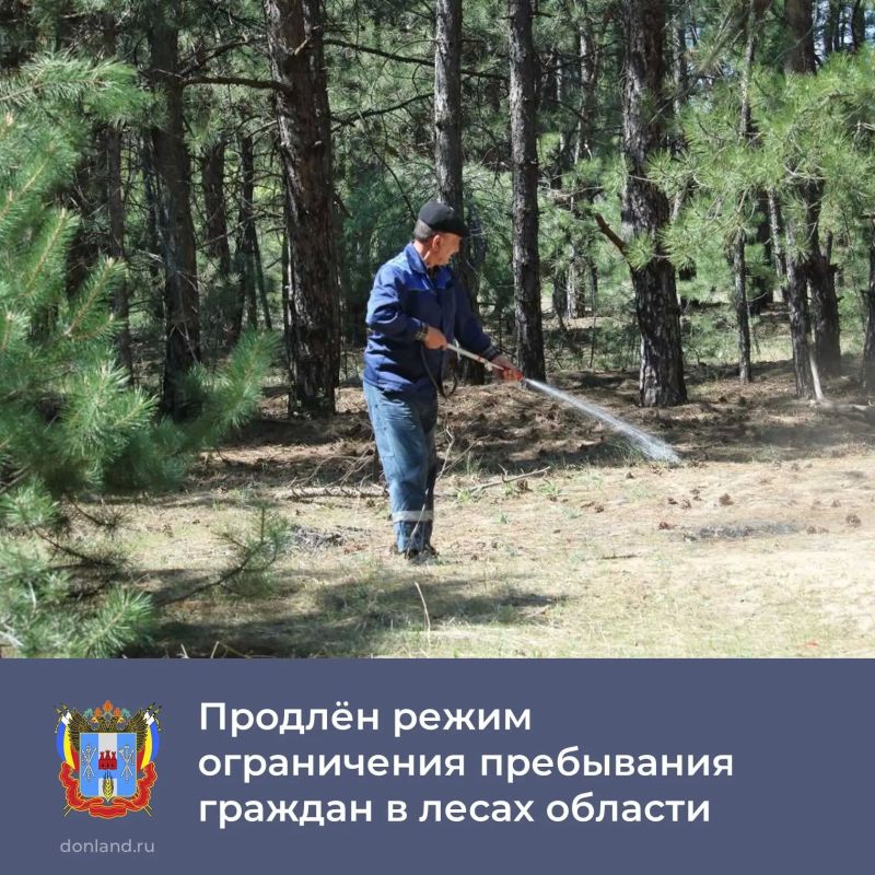 В Ростовской области ограничено пребывание граждан в лесах, а также въезд транспортных средств