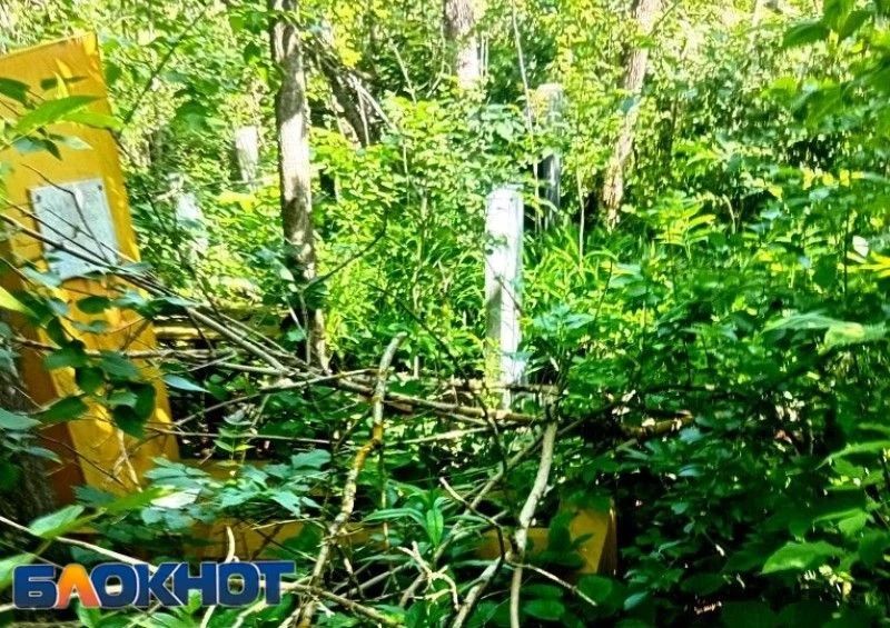 Жители Ростова пожаловались на разбитые памятники и завалы на Северном кладбище Жители Ростова пожаловались на разбитые памятники и завалы на Северном кладбище