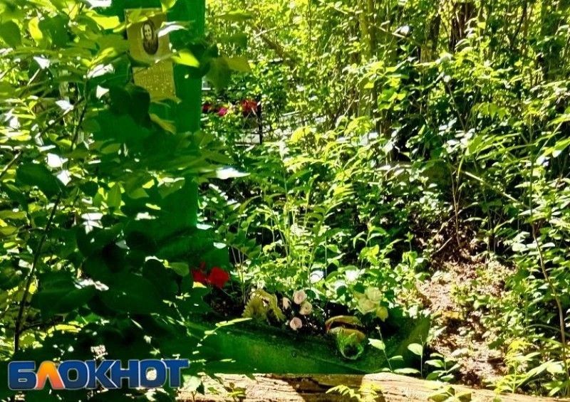 Жители Ростова пожаловались на разбитые памятники и завалы на Северном кладбище Жители Ростова пожаловались на разбитые памятники и завалы на Северном кладбище