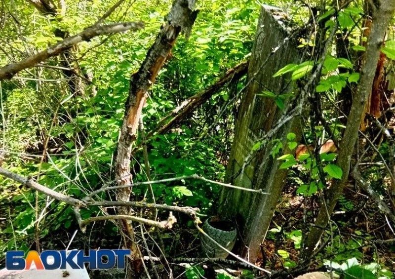 Жители Ростова пожаловались на разбитые памятники и завалы на Северном кладбище Жители Ростова пожаловались на разбитые памятники и завалы на Северном кладбище