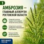 Подробнее про аллергии и аллергены читайте в наших карточках