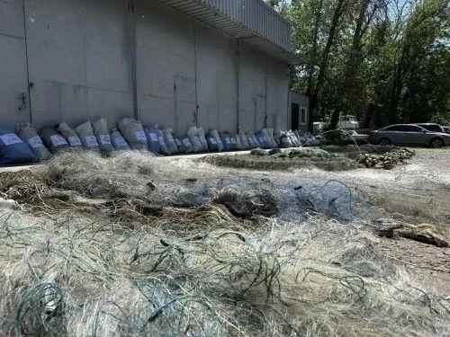 Километры браконьерских сетей передали бойцам СВО Километры браконьерских сетей передали бойцам СВО