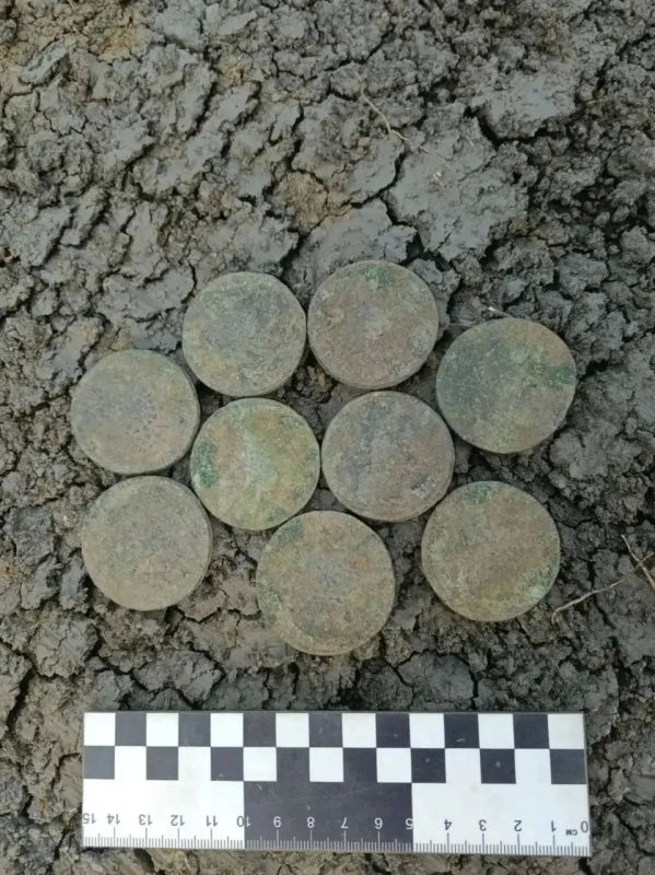 В Старочеркасской нашли старинные монеты XVIII века
