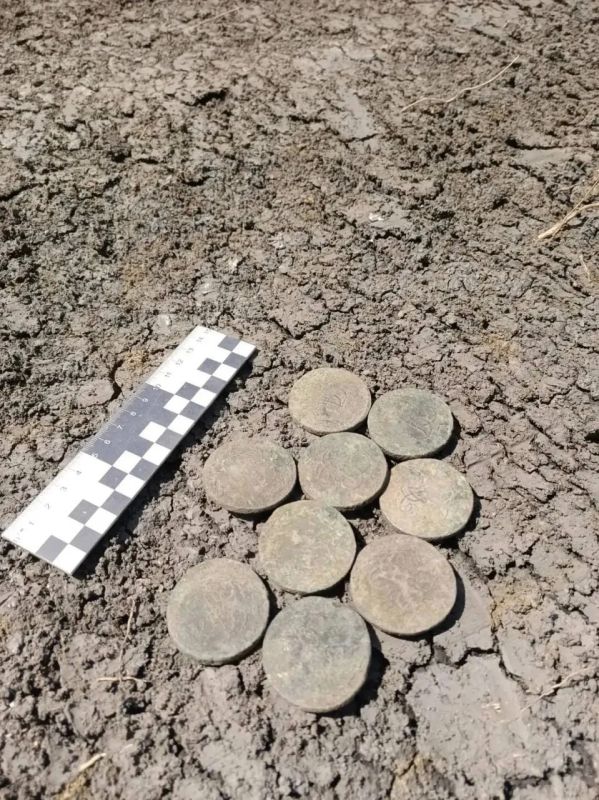 В Старочеркасской нашли старинные монеты XVIII века В Старочеркасской нашли старинные монеты XVIII века