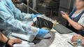 В Ростове-на-Дону правоохранители выявили нарушения на Центральном рынке в ходе операции «Путина-2026»