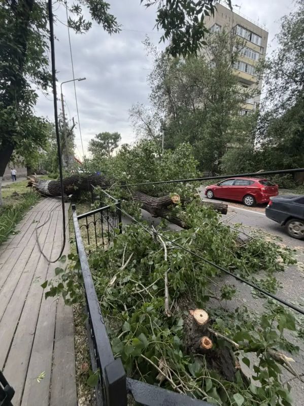 Ветер с порывами до 25 м/с бушует в Ростове-на-Дону