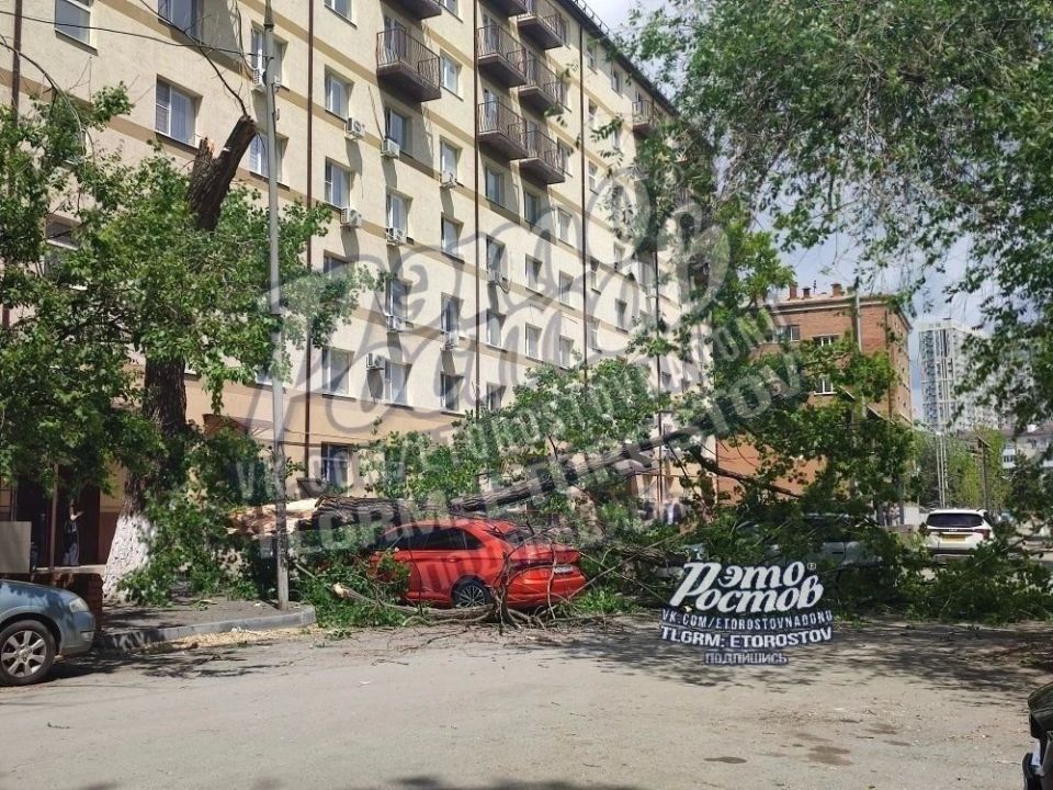 Продолжается... Деревопад в Ростове повредил еще несколько автомобилей на улице Дранко