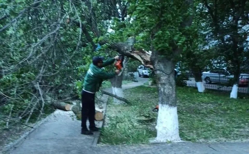 В Ростове после штормового ветра устранили последствия падения 43 из 65 деревьев В Ростове после штормового ветра устранили последствия падения 43 из 65 деревьев