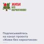 Антинаркотический проект Ростовской области «Живи без наркотиков», разработанный региональной антинаркотической комиссией, объединяет всех участников профилактической работы