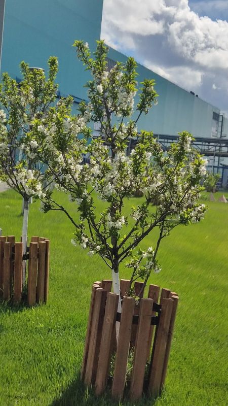 Молодежный совет Волгодонского филиала АО «Атомэнергоремонт» реализовал комплекс волонтерских мероприятий по благоустройству городской среды, поддержке социальных инициатив и сохранению исторической памяти Молодежный совет Волгодонского филиала АО «Атомэнергоремонт» реализовал комплекс волонтерских мероприятий по благоустройству городской среды, поддержке социальных инициатив и сохранению исторической памяти