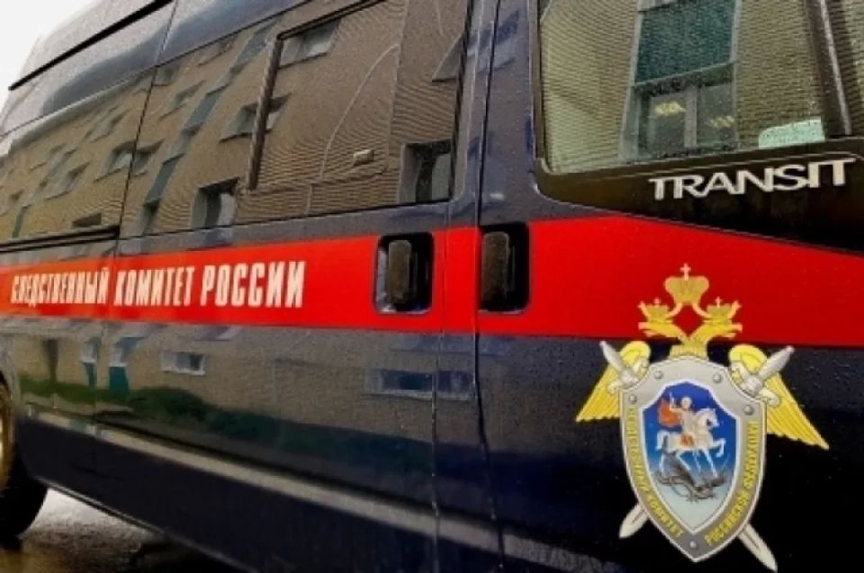 Бастрыкину доложат о расследовании избиения 14-летней школьницы в Ростове