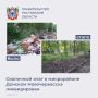 По поручению губернатора Юрия Слюсаря администрация Новочеркасска провела работы по ликвидации несанкционированного свалочного очага объемом около 30 м в проезде за школой №23 в микрорайоне Донском