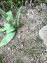 ������������ ����������� ����������� �������� ������������� ���� ������������� �������