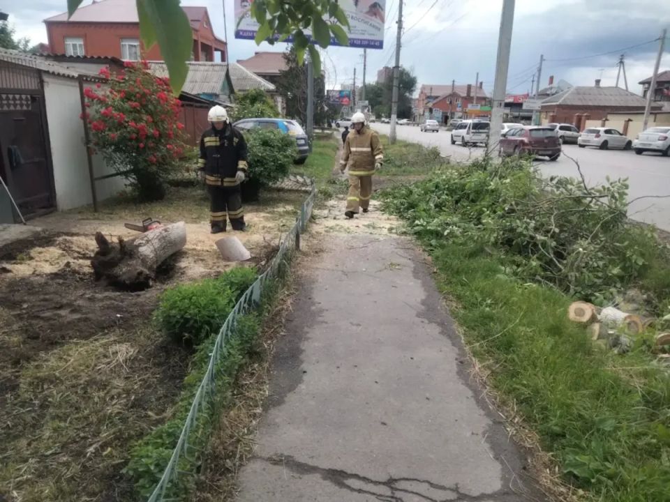 МБУ «Защита»: 33 выезда за неделю МБУ «Защита»: 33 выезда за неделю