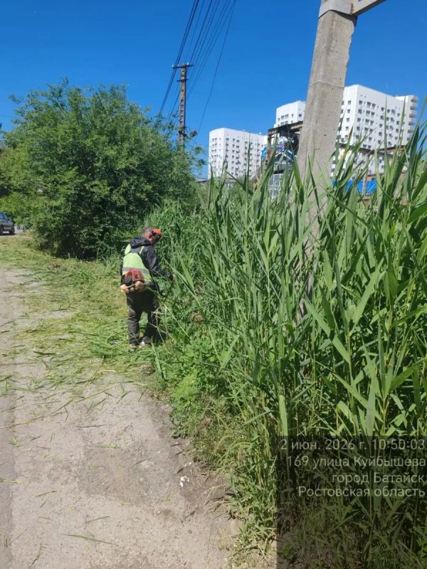 В Батайске продолжается покос сорной растительности В Батайске продолжается покос сорной растительности