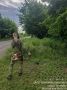 ������� ����������!. ��������� ����������� ���������� ������ �� ������ ������ �������������� �� ����� ������