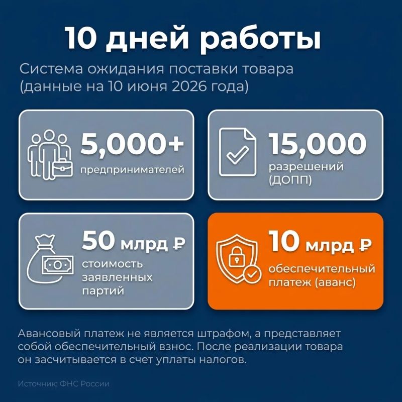 Честный импорт стал проще: как новая система СПОТ уже меняет рынок