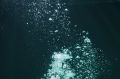 Мужчина погиб на воде в Ростове-на-Дону