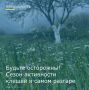 Летний период сопровождается высокой активностью клещей