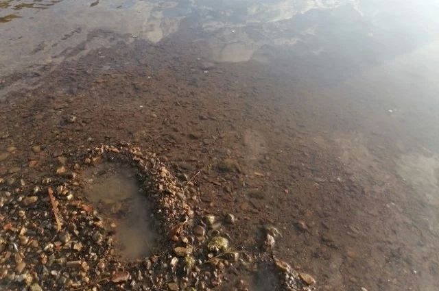 Семь человек утонули в Ростовской области с начала купального сезона