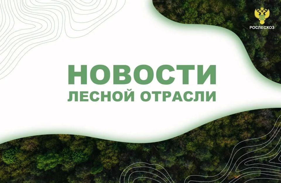 РИА Новости: В Рослесхозе рассказали, где будут бороться с американским кленом