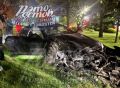 Пьяный водитель без прав на BMW врезался в дерево в Ростове
