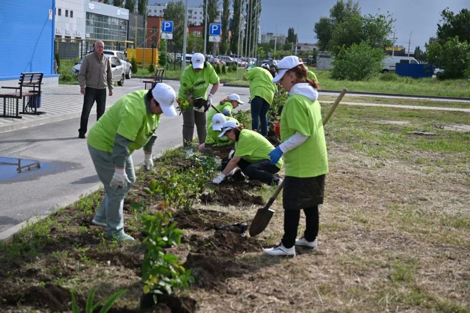 В Волгодонске прошла экологическая акция, приуроченная к двойной юбилейной дате В Волгодонске прошла экологическая акция, приуроченная к двойной юбилейной дате
