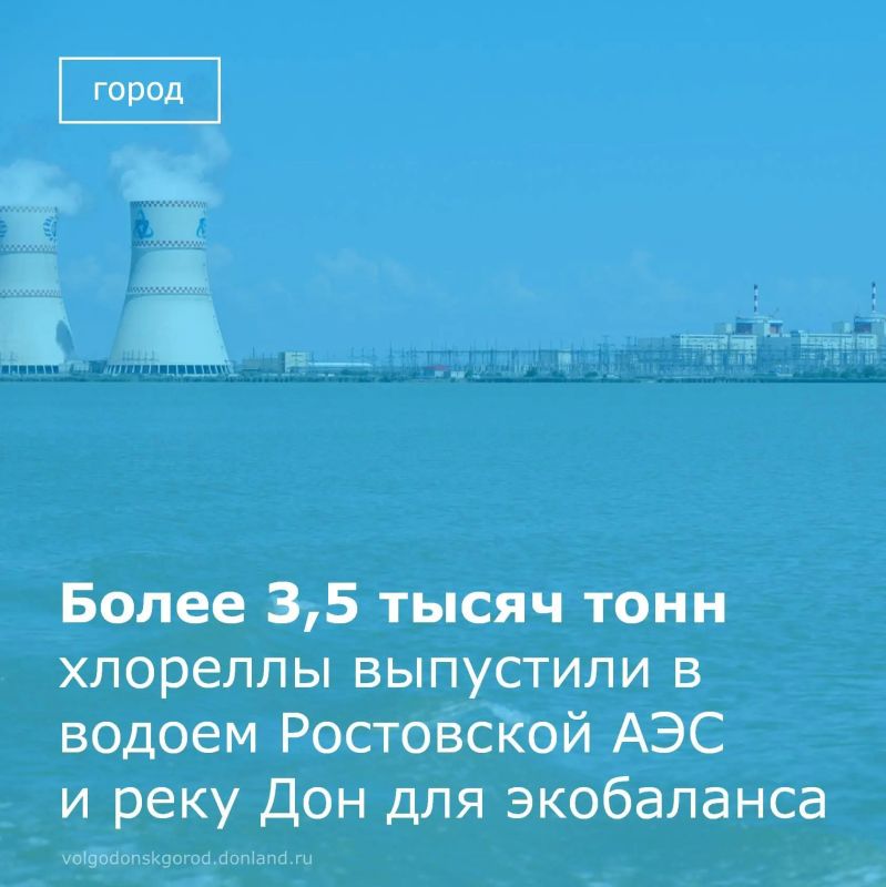 Экологи Ростовской АЭС провели второй в нынешнем году этап альголизации водоема-охладителя и реки Дон