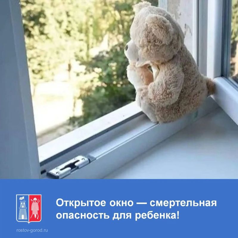 Главная иллюзия защиты — москитная сетка