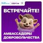 Добро.Центр «Финист» г. Шахты стал Амбассадором добровольчества