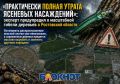 «Полная утрата ясеней»: эксперт предупредил о масштабной гибели деревьев в Ростовской области