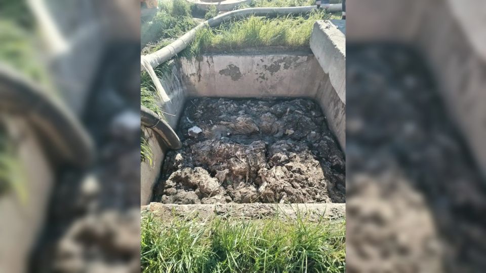 Жители Петербурга понесут финансовые потери за мусор в канализации