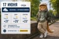 Погода 17 июня в Ростове — облачно, с прояснениями