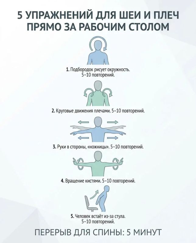 «Сидячая работа не губительна»: мастер спорта о том, как на самом деле помочь своей спине