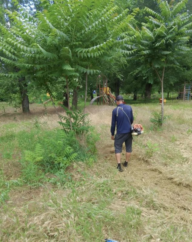 В рамках сезонных работ по содержанию городских территорий в Новочеркасске начался покос сорной растительности на детских игровых площадках, находящихся на балансе администрации города В рамках сезонных работ по содержанию городских территорий в Новочеркасске начался покос сорной растительности на детских игровых площадках, находящихся на балансе администрации города