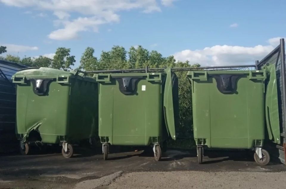 В Ростове в мусорном баке нашли тело новорождённого ребёнка