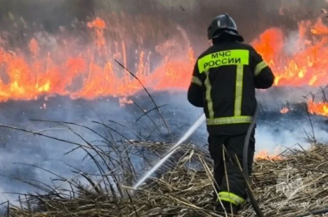 За сутки пожарные Дона ликвидировали 4 возгорания