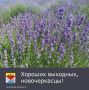 В предстоящие выходные дни жителей Новочеркасска ожидает относительно тёплая погода