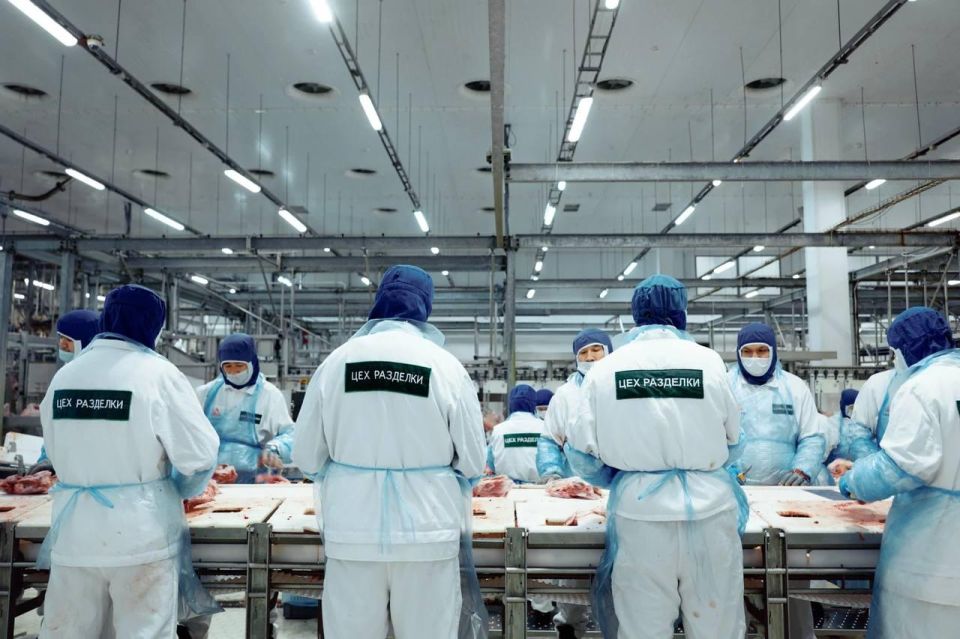 В Пензенской области показали технологии инновационного завода по производству индейки В Пензенской области показали технологии инновационного завода по производству индейки