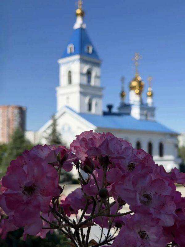Александр Скрябин: Ростов - очень разный. Разные народы, разные архитектурные стили составляют его единство Александр Скрябин: Ростов - очень разный. Разные народы, разные архитектурные стили составляют его единство