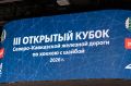 Александр Скрябин: В эти выходные донская столица стала ареной для хоккейных баталий