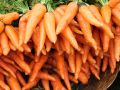 Секреты хранения моркови: как сохранить урожай с помощью опилок