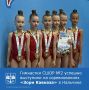 С 15 по 20 июня в Нальчике проходили межрегиональные соревнования по художественной гимнастике «Зори Кавказа»