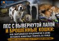 ��� � ���������� ����� � ��������� �����: ��� ����������� ����������� � ����� �������� �������� ������� �� �����