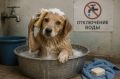 В Кировском районе Ростова отключат горячую воду на две недели