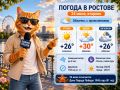 ������ � ������� 24 ����: ���� � ���������� ����������