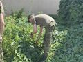 В Новочеркасске прошла антинаркотическая акция «Единый день борьбы с дикорастущей коноплей»