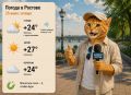������ 25 ���� � ������� � �������, � ������������
