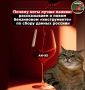 В сети продолжают появляться ресурсы, собирающие личные данные граждан под видом площадок, предоставляющих информацию о ситуации с бензином на АЗС в режиме реального времени